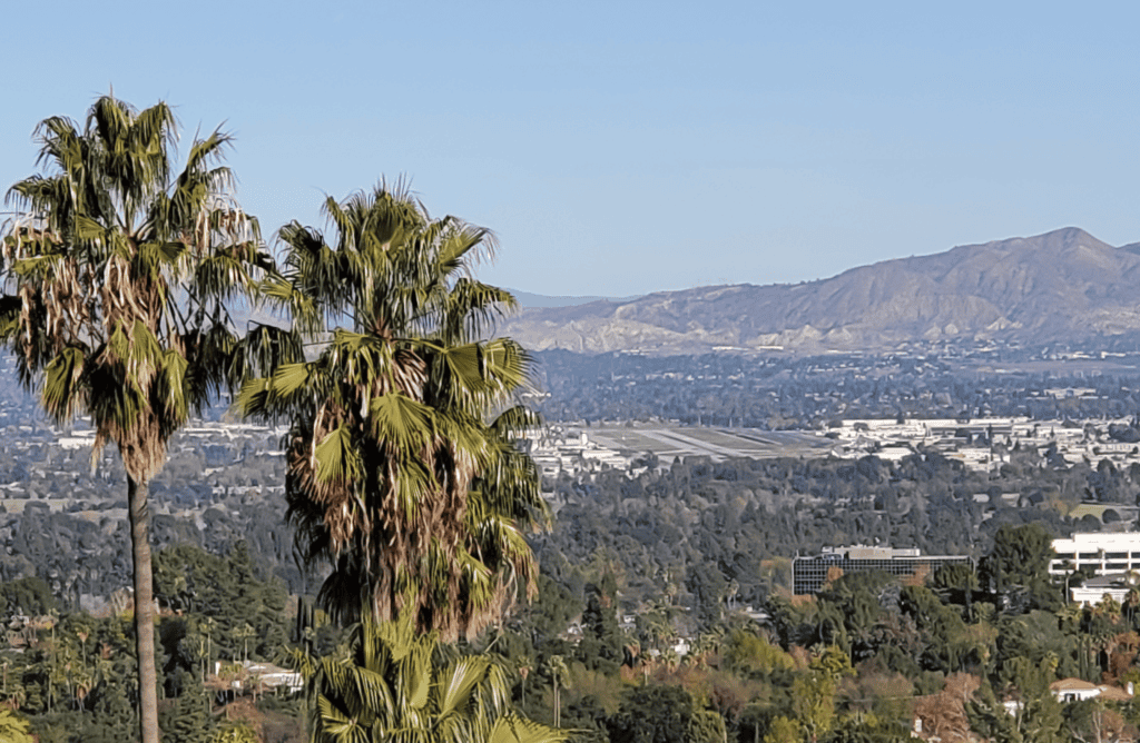 At pH Wellness, we believe in treating more than just substance abuse, and focus on accompanying mental health disorders or mental health conditions during the recovery journey.