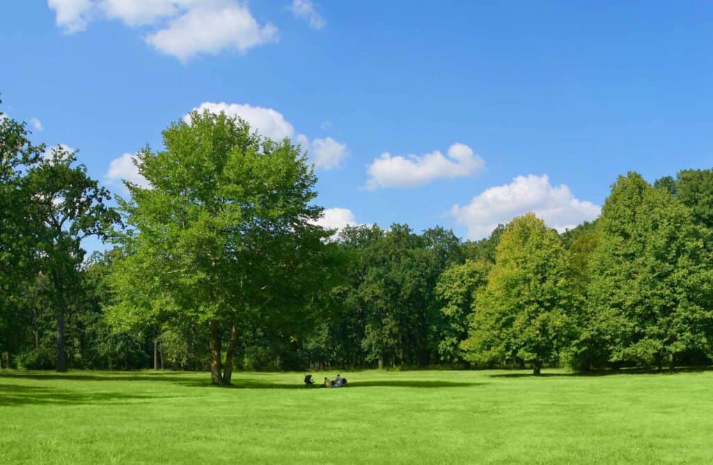 Healing that lasts requires professional help in many cases. pH Wellness has treatment options that fit any needs.