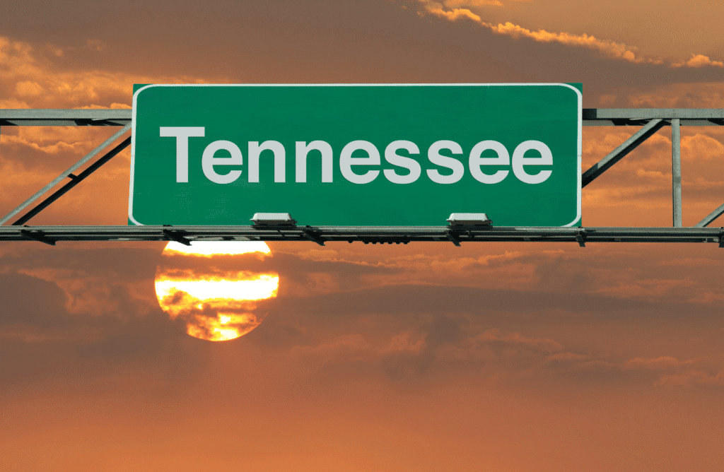 Tennessee has a beautiful atmosphere to participate in research based therapies, education, and recovery - from equine therapy to CBT. 
